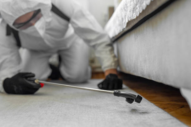 Professional Termite Control technician working in Aloha, OR