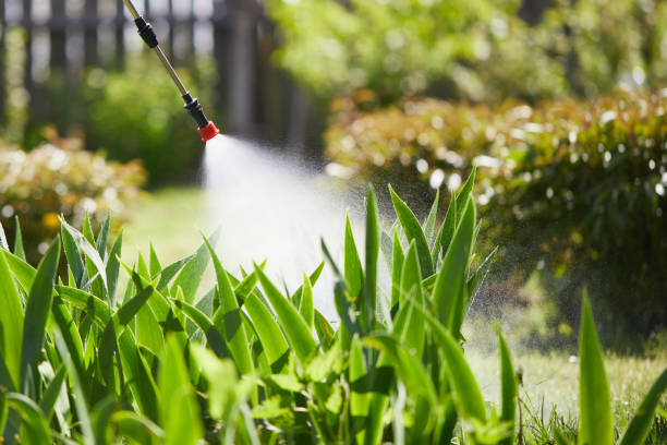 24/7 Emergency Termite Control experts in Aloha, OR